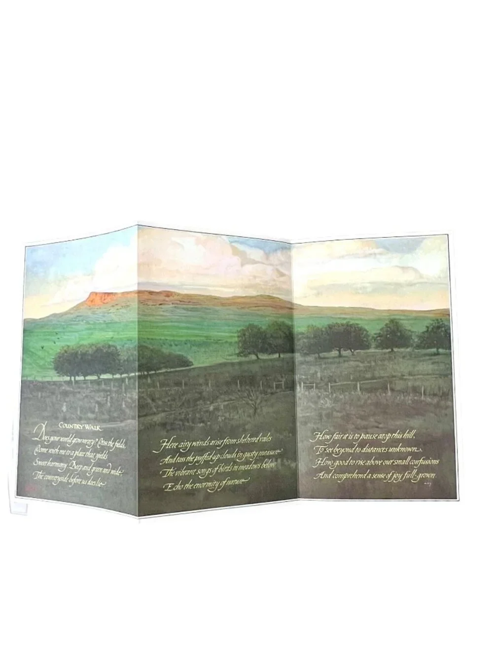 Vintage 1978 Current Inc Keepsake Greetings Tri-Fold Card Set of 4 Nature Theme